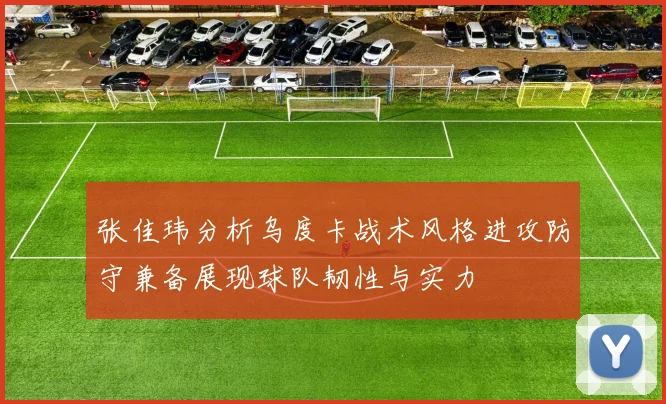 张佳玮分析乌度卡战术风格进攻防守兼备展现球队韧性与实力